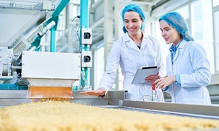 Darstellung des Studiengangs Lebensmittel, Ernährung, Hygiene. 