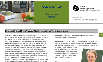 LEH-Infobrief Nr.13 WS20/21