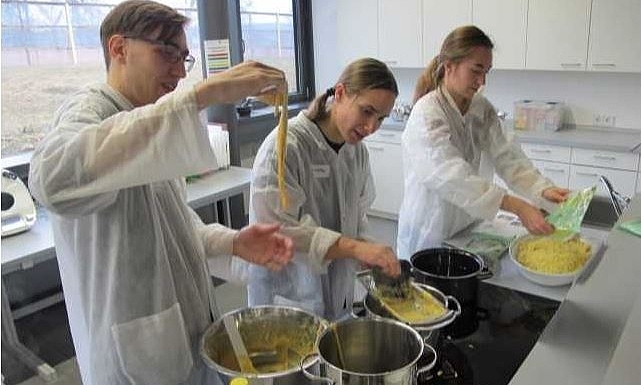 LEH Kochevent | Hochschule Albstadt-Sigmaringen