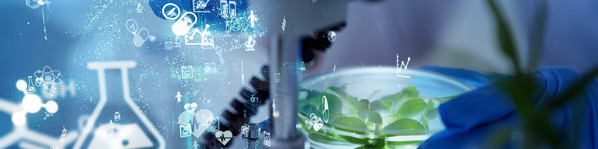 Studiengang Angewandte Biologie - Food and Pharma