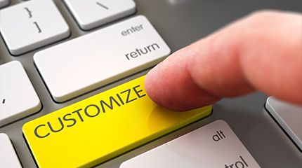 Customize | Wirtschaftsinformatik