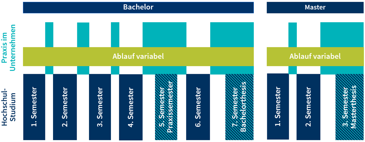 Studienablauf
